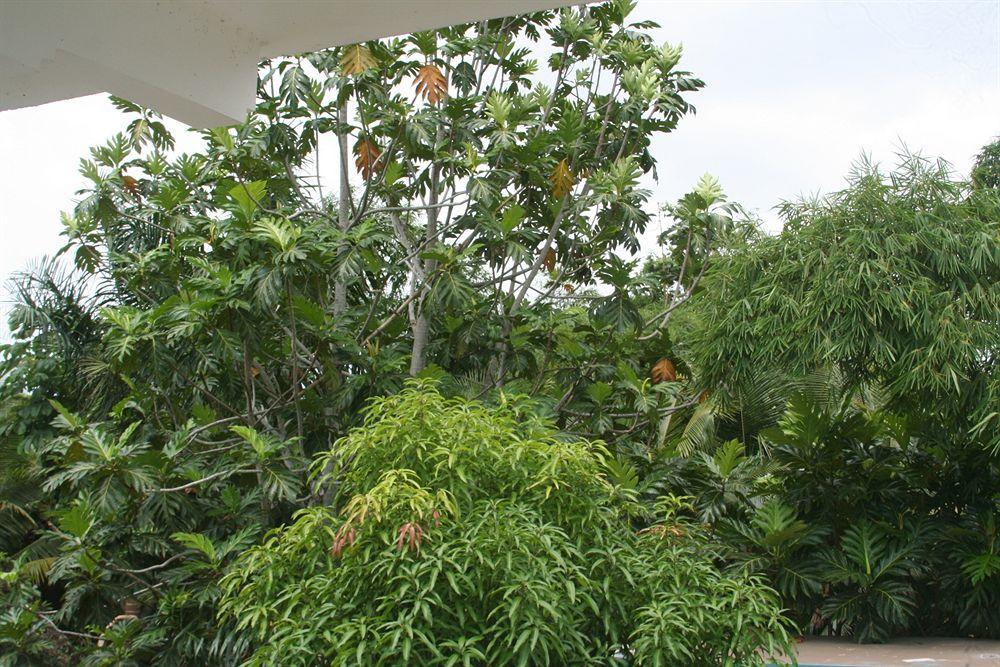 Pure Oasis Resort Negril Ngoại thất bức ảnh